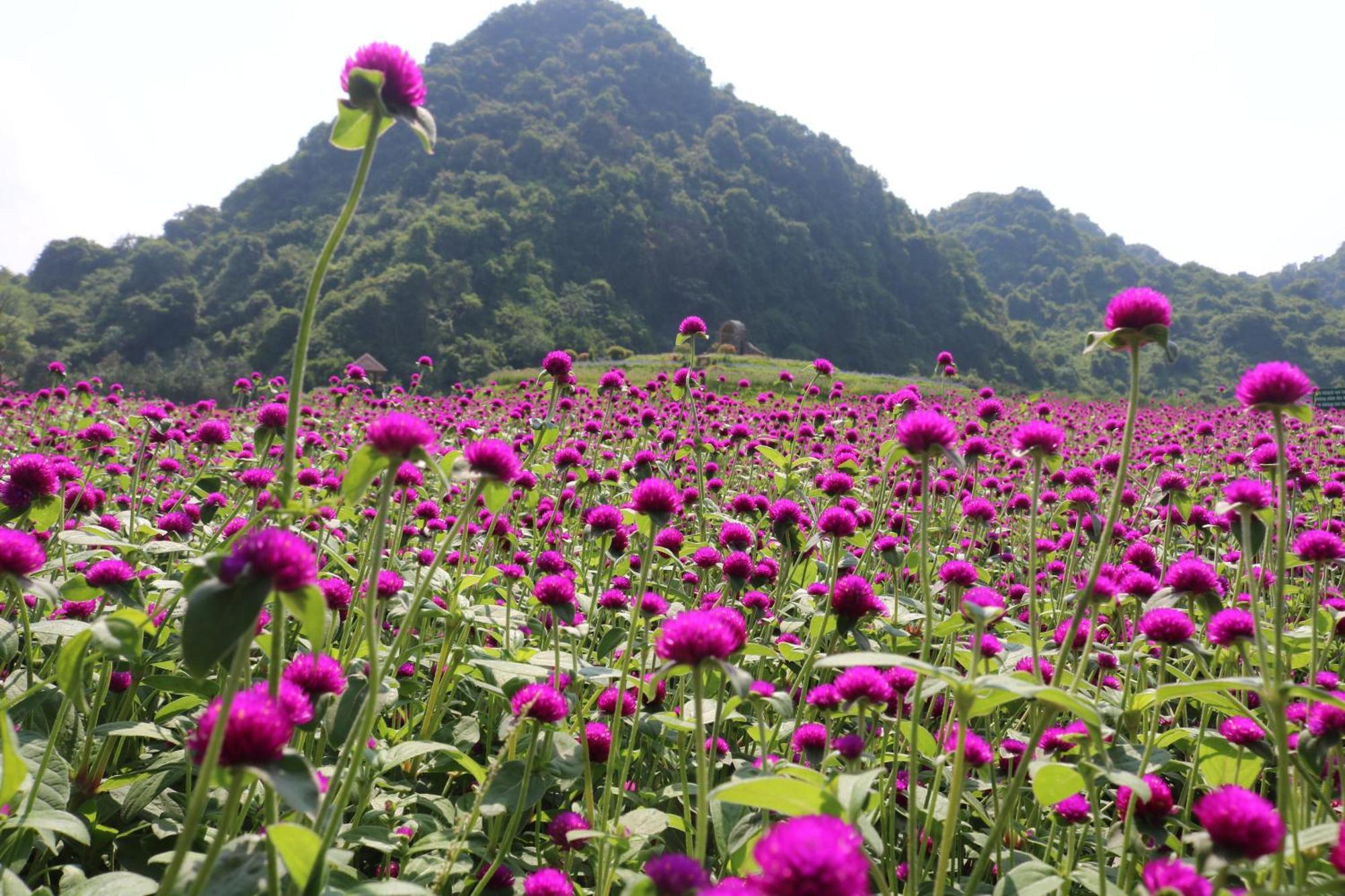 Thung Nham Resort Ninh Binh Eksteriør billede
