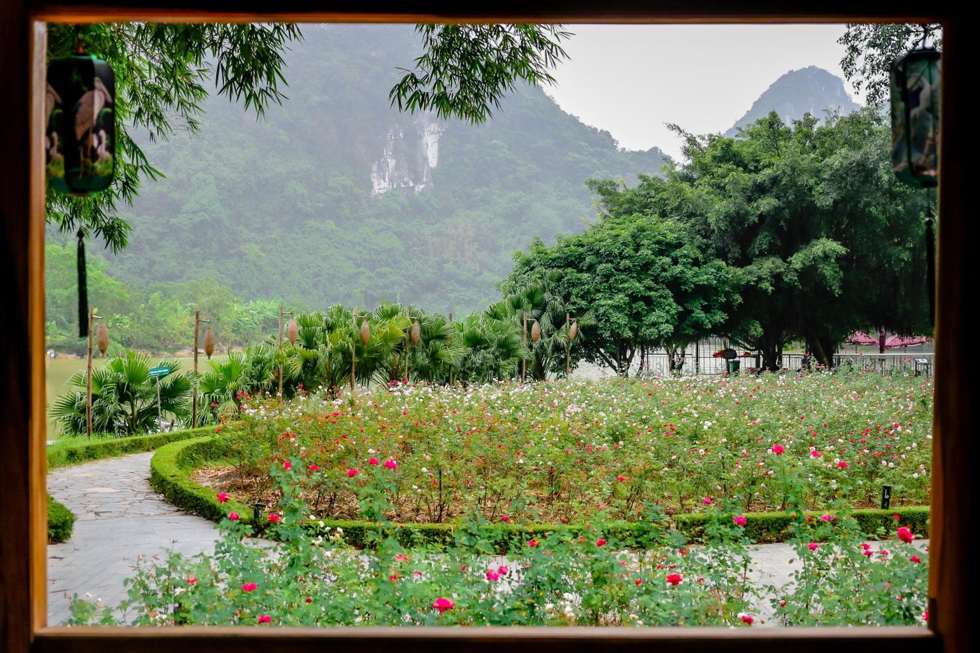 Thung Nham Resort Ninh Binh Eksteriør billede