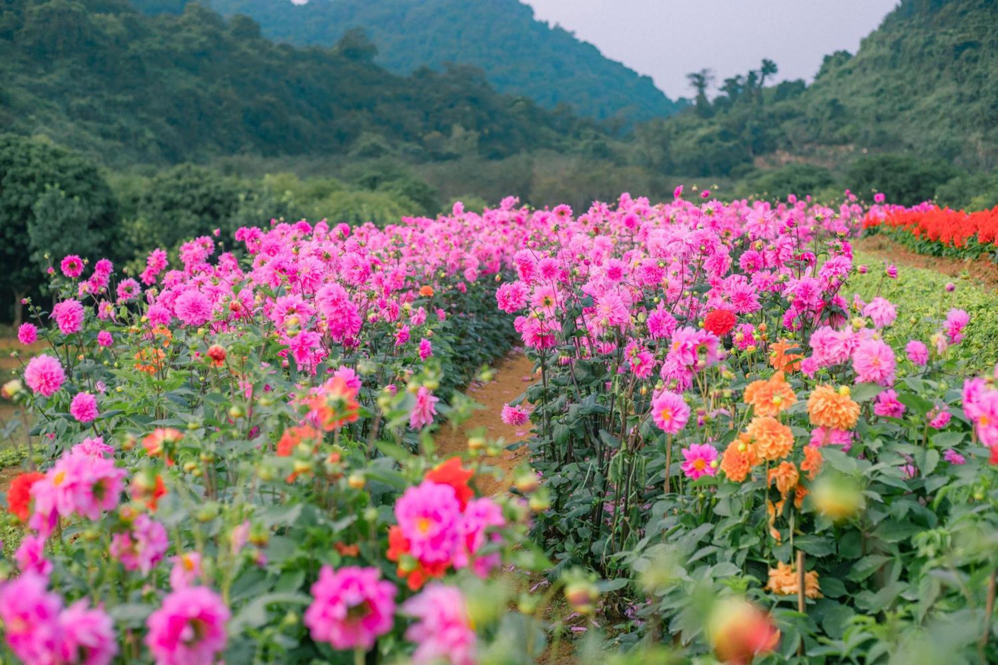 Thung Nham Resort Ninh Binh Eksteriør billede