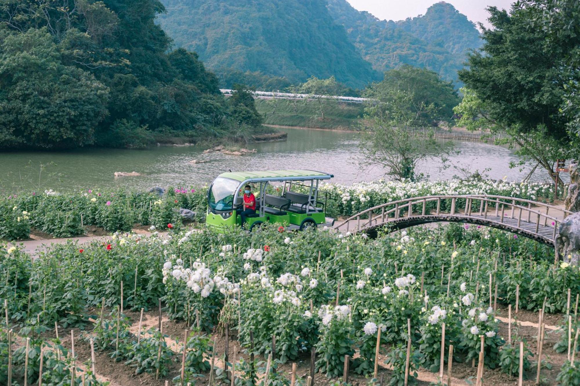Thung Nham Resort Ninh Binh Eksteriør billede