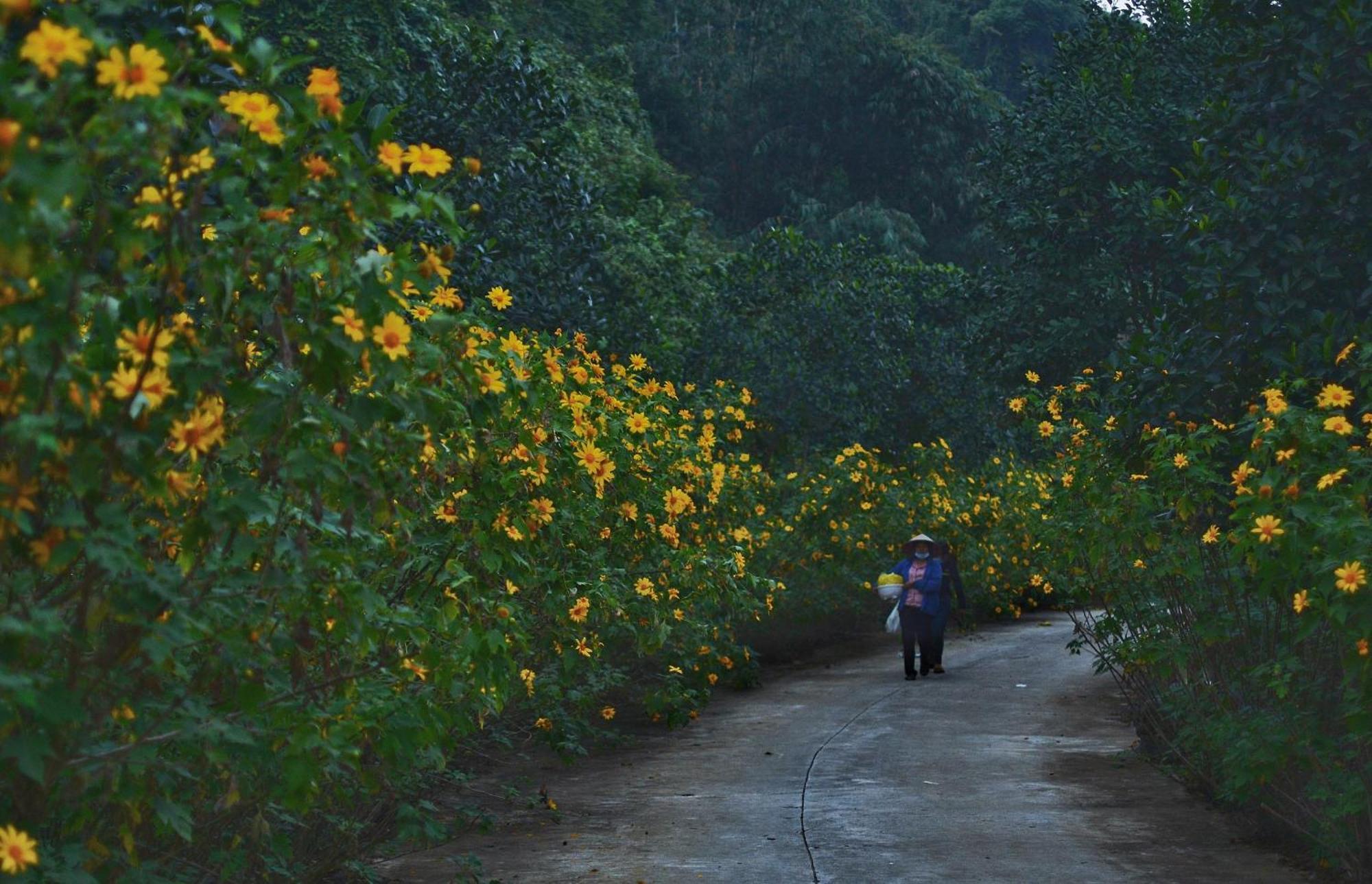 Thung Nham Resort Ninh Binh Eksteriør billede