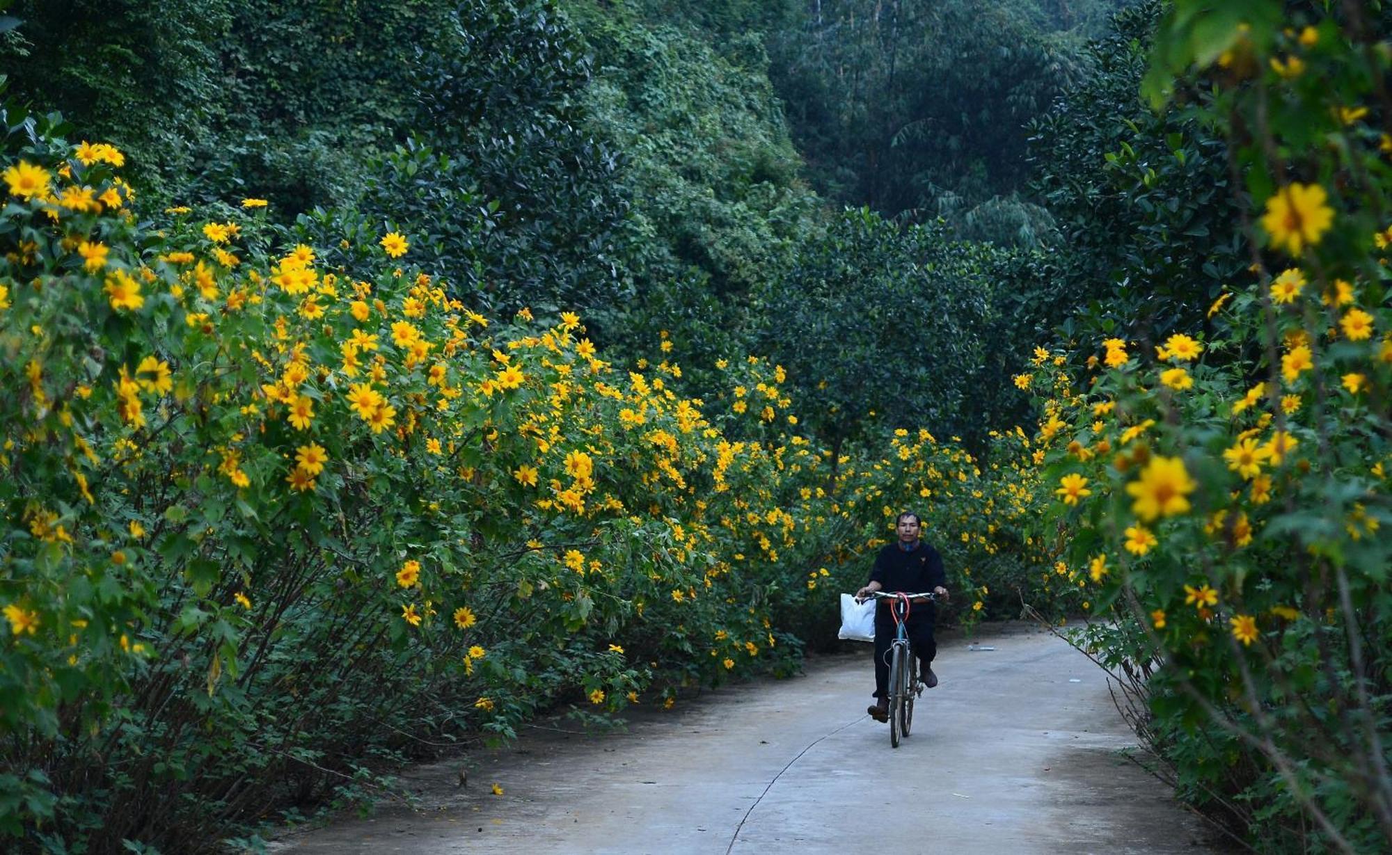 Thung Nham Resort Ninh Binh Eksteriør billede