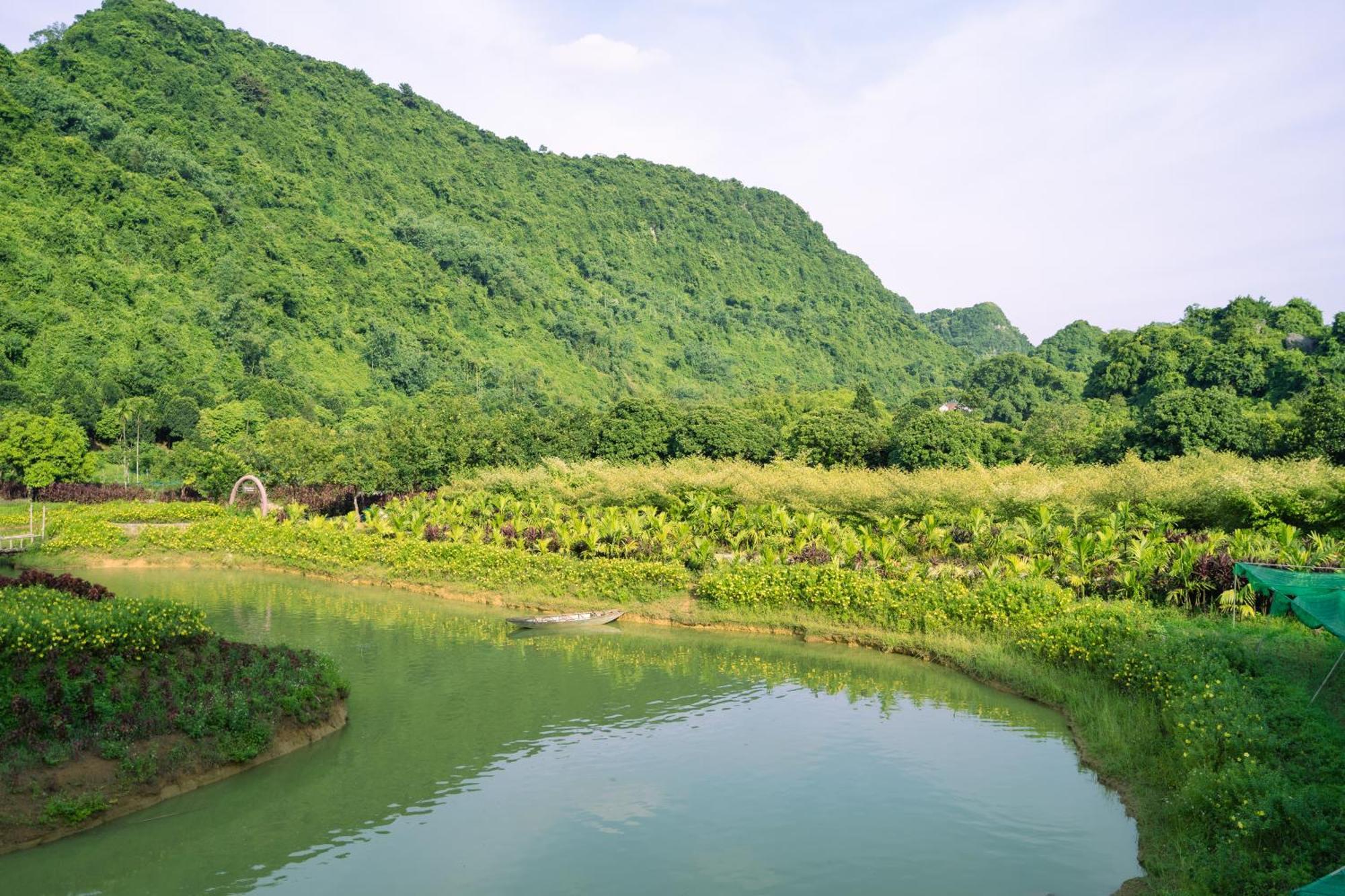 Thung Nham Resort Ninh Binh Eksteriør billede